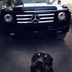 MENTAL DISORDER FREESTY7E