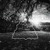 Artwork for Rammstein - Sonne (Slowed & Reverb) (TIK TOK)