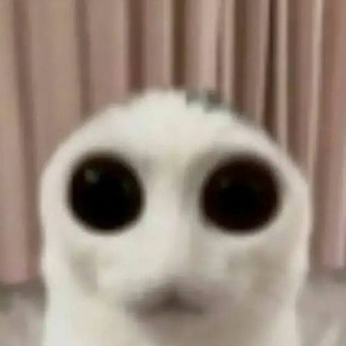 👀