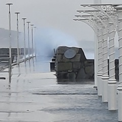 The Explorers, The Brave