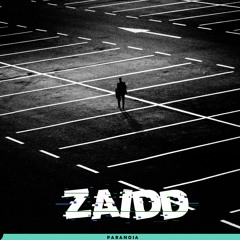 zaidd - Paranoia