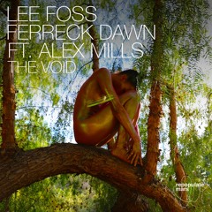 Lee Foss & Ferreck Dawn ft. Alex Mills - The Void (192 kbps)