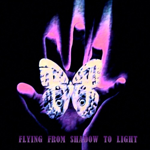 Flaying From Shadow To Light