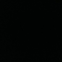 bottom light ft loyalty