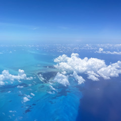 Turks N Caicos (Move Cover Adam Port)