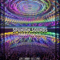 SPUNION SOUNDS VOL. 1  (FREESTYLE MIX)