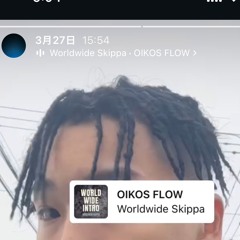 Skippa & Melodic Type Flow