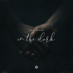 Luis Maro - In The Dark