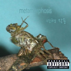 M4LFØ¥