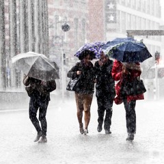 Its Raining - Ziggy in the house.mp3