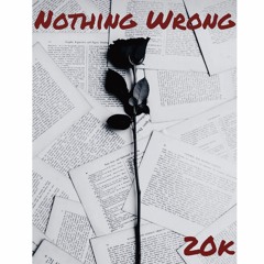 20k - Nothing Wrong