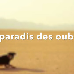 Au paradis des oubliés (1)