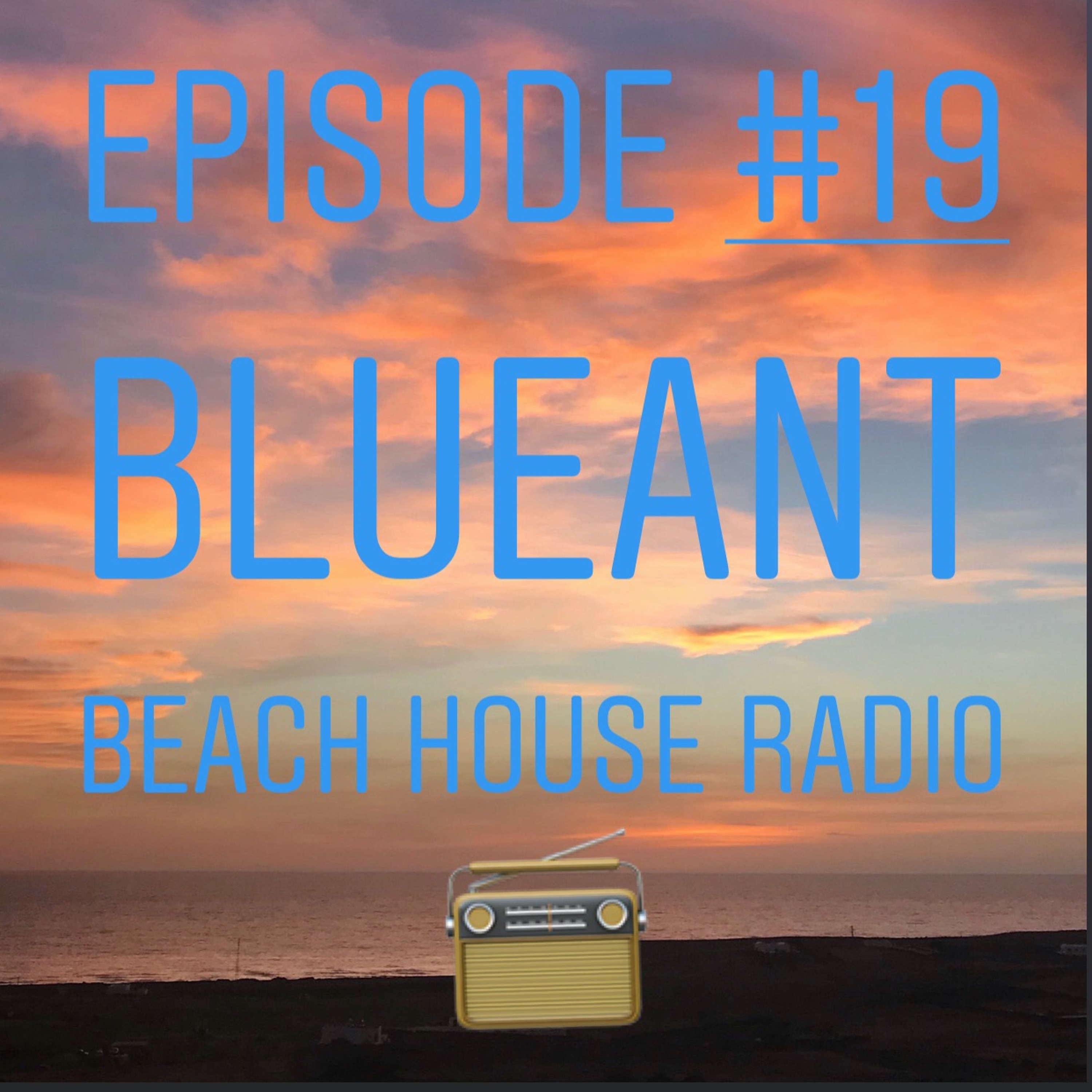 BlueAnt Beach House Radio