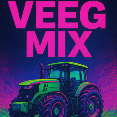 veeg mix