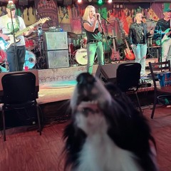 Blame It On The Sound Guy