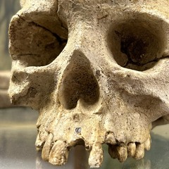 The Streets of ATL  (ho)