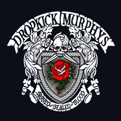 punkkk and metal and rock
