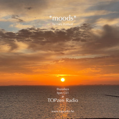 *moods* by Lara Potthoff @ TOPzen Radio 19.12.2024