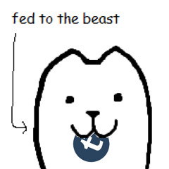 UPDATE: Tumblr profile..................