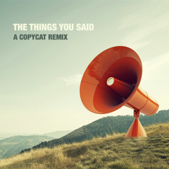 The Things You Said (A Copycat Remix)