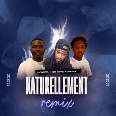 Naturellement Remix by DJ Wawa  x Joe Mix x ZB Keyz