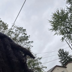 is it real? prod sol