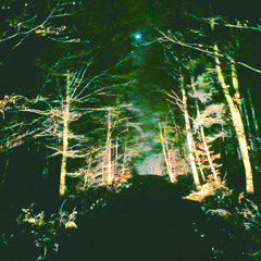 LOST PLACES 006