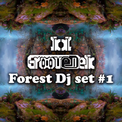 GrooveDelic Forest Dj Set #01