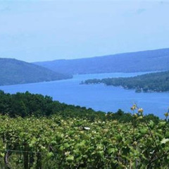 Review Special Price Keuka Lake Winery Tour