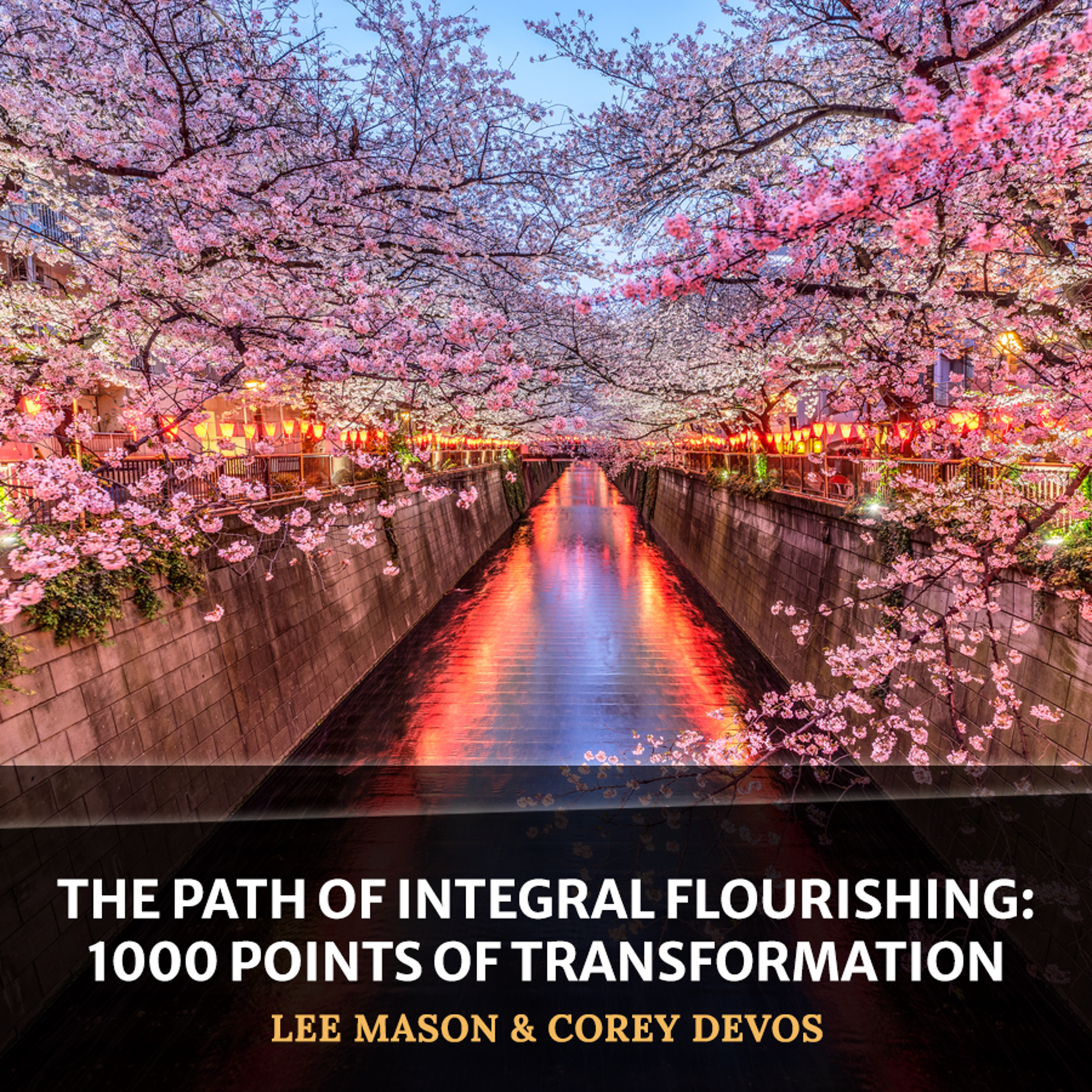 cover of episode The Path of Integral Flourishing: 1000 Points of Transformation