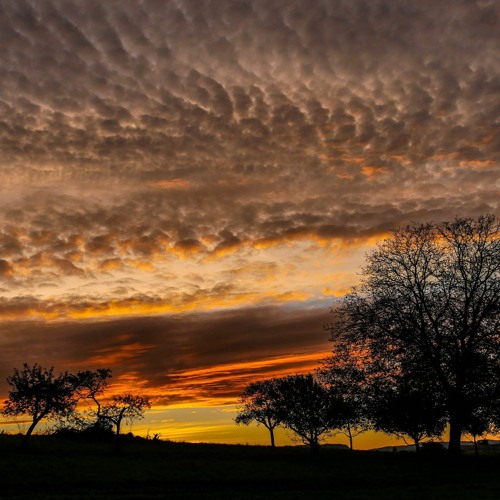 Daybreak