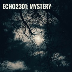 ECHO2301: Mystery