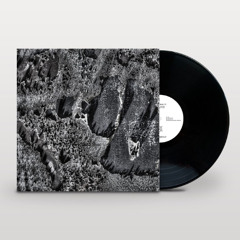 TC Premiere: Coaxial System - Institut [ Diffuse Reality ]