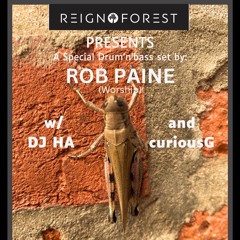 Solomonic Sound selector Rob Paine Live @ Reign Forest 9/26/24