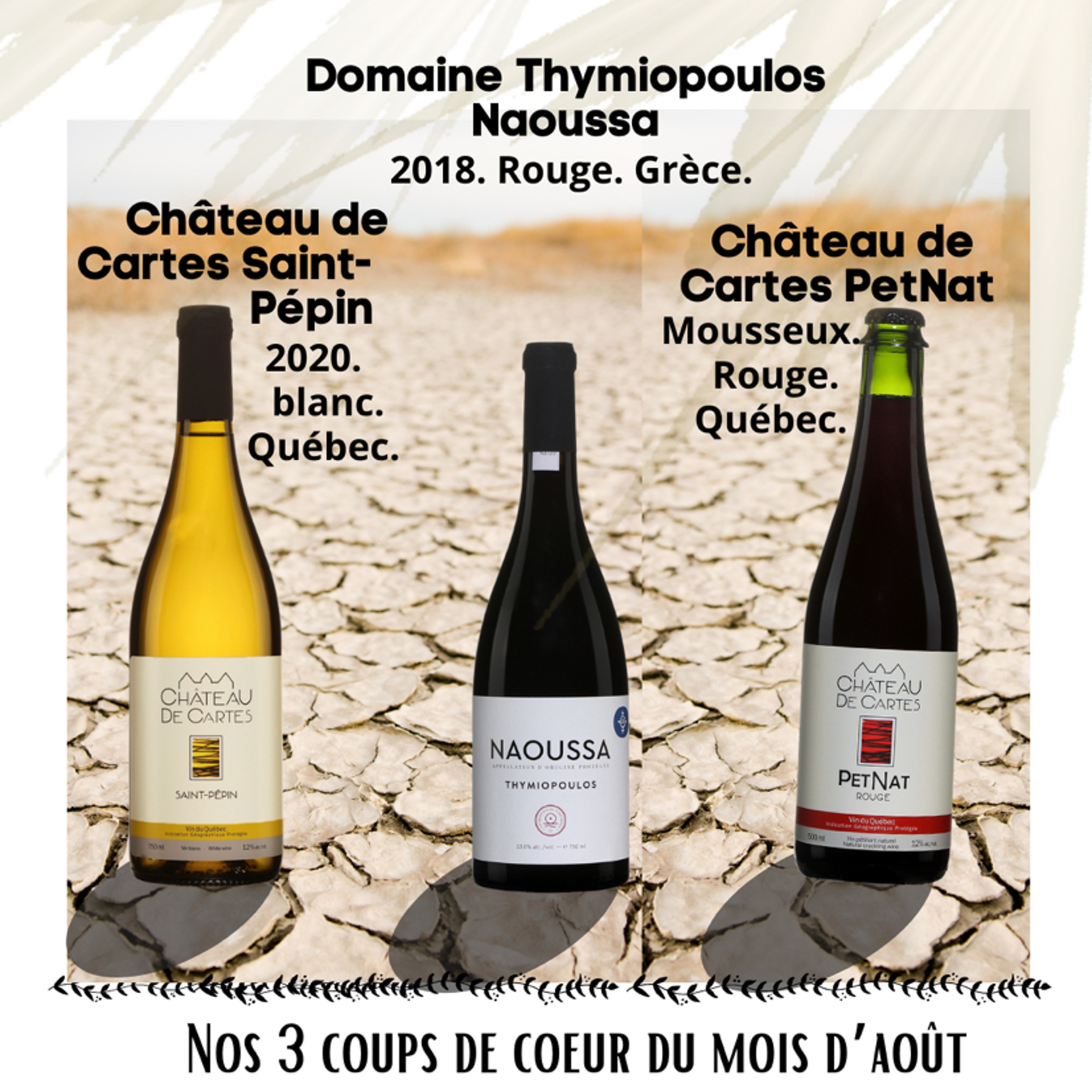 VINS | 2 vins du Québec dans le top 3 des meilleurs vins du mois d’août episode artwork