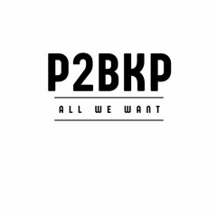 All We Want (Prod By. P2B KP)