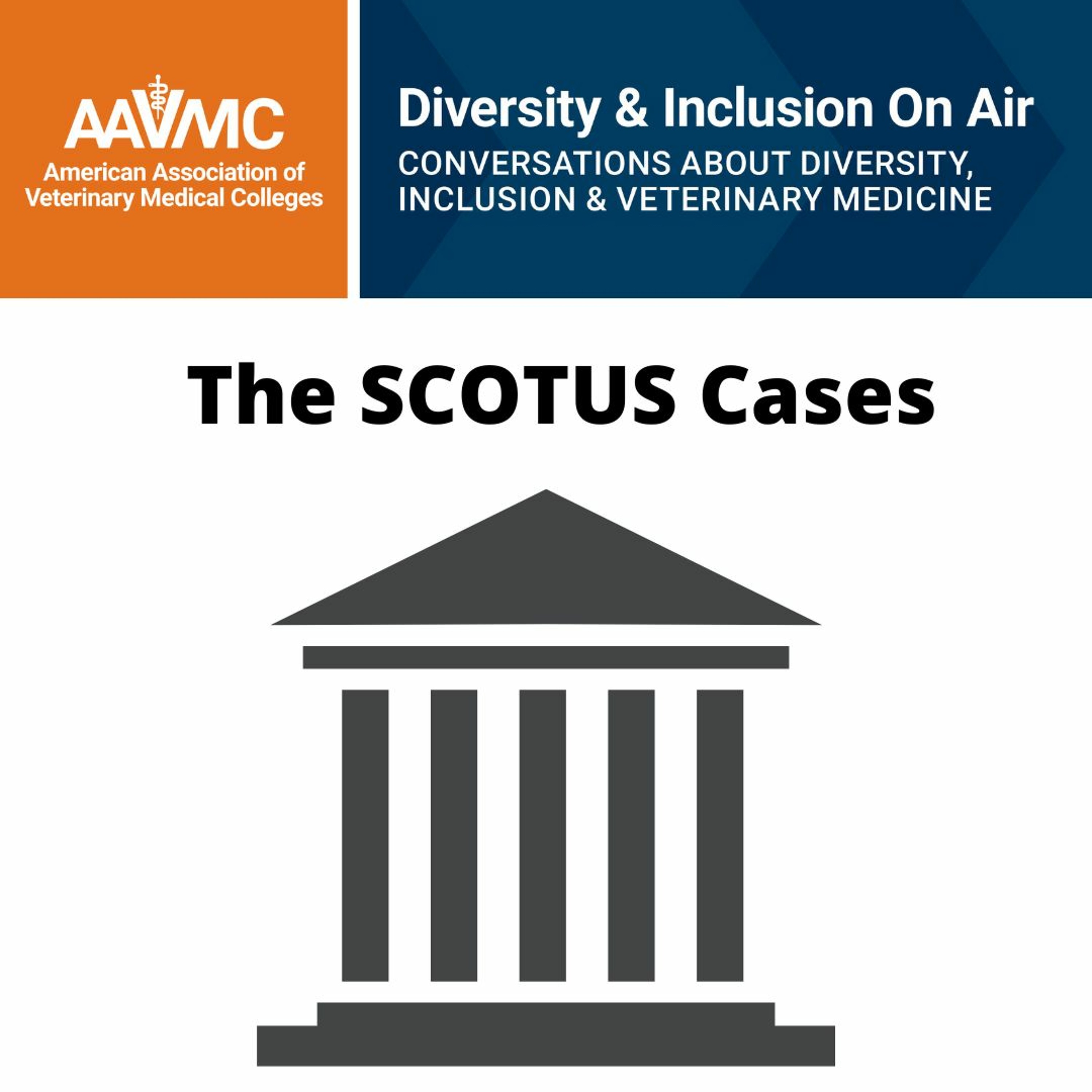AAVMC\'s On Air: Conversations about Issues in Veterinary Medicine