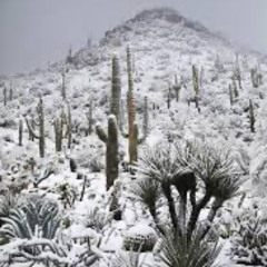 Nieve Maldita