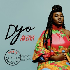 Arena (feat. Adekunle Gold) (Remix)