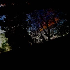 Politics/Spirtuality