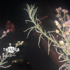 itdoot- Reaper Talk