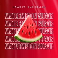 Hawk - Watermelon Sugar (Ft. Gus Collen) (Extended Mix) FREE DOWNLOAD