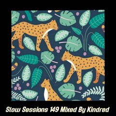Slow Sessions 149 Mixed By Kindred Music SA