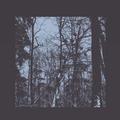 midday frost