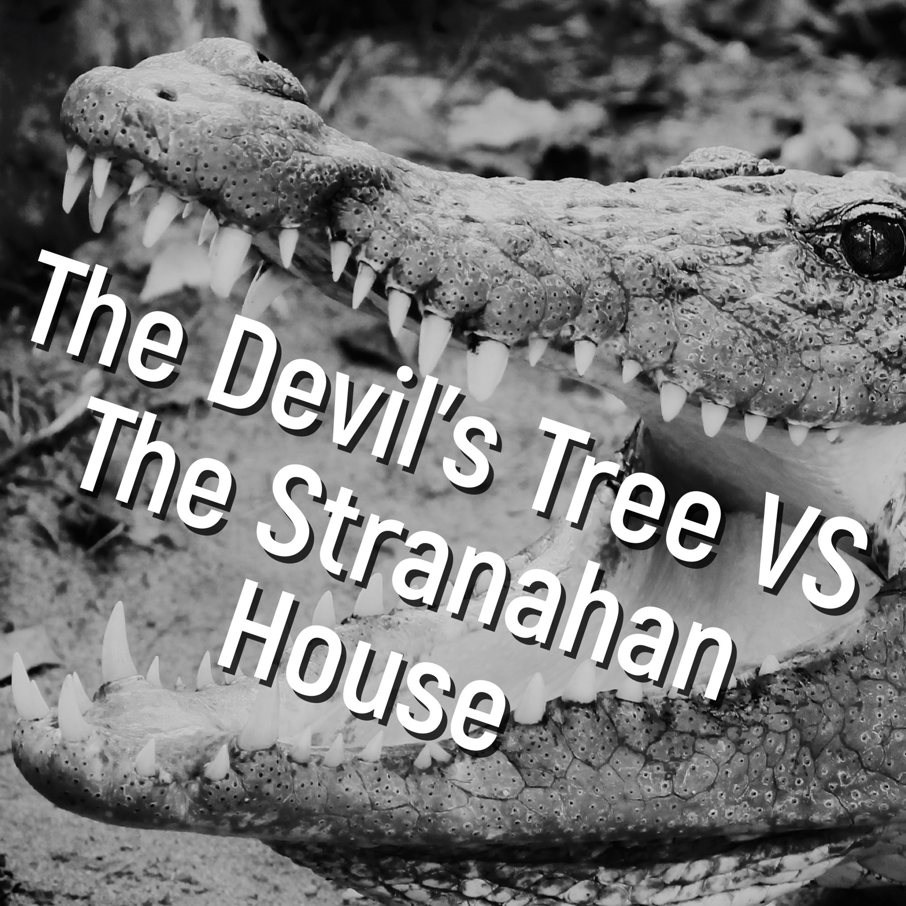 Boos and Brews Podcast