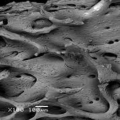 how to wear someone's skin