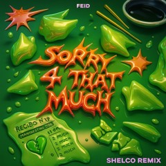 SORRY 4 THAT MUCH (Shelco Remix)(Extended Dirty Mix)