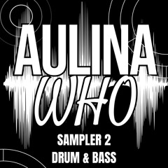Sampler: Drum and Bass DJ Mix