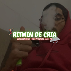 RITMIN DE CRIA - Mc´s Pretchako, Saci, Wb [Dj PdrãoNoBeat]