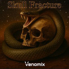 Skull Fracture